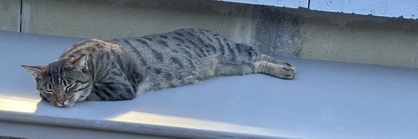 basedjulianv Profile Banner