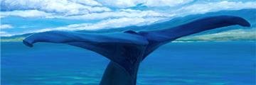 FawnC88's profile banner image