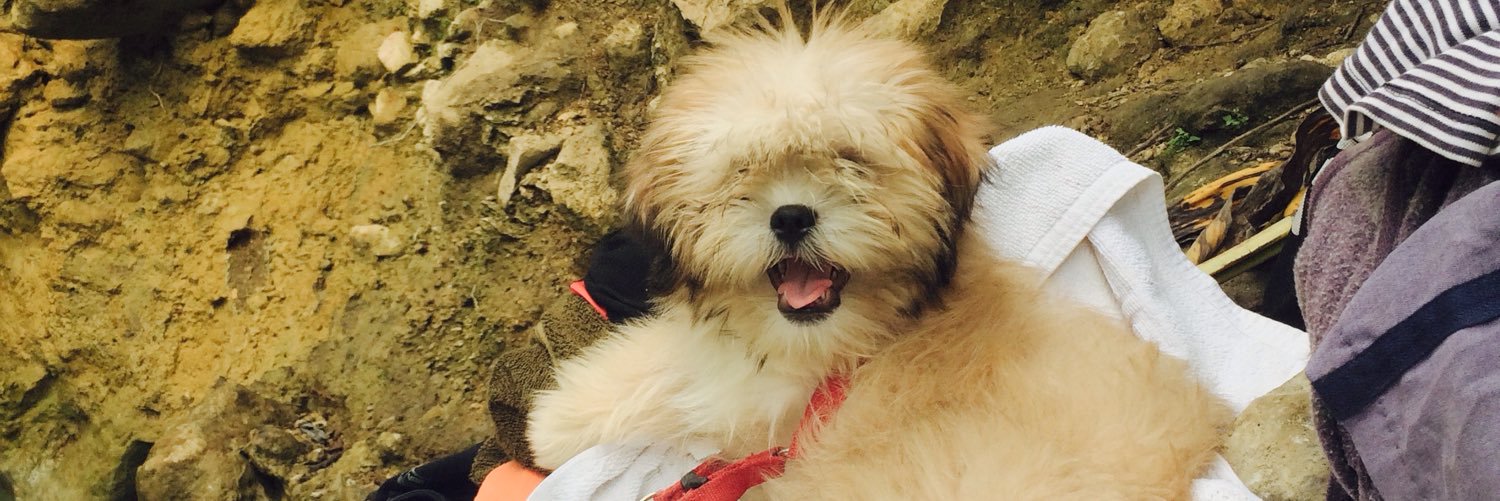 pointjessi's profile banner image