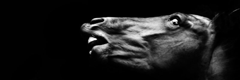Anouk Timmerman banner