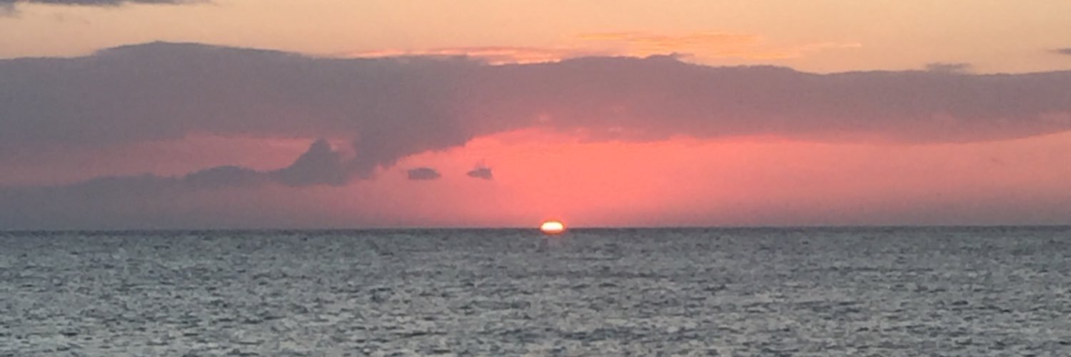 ctaranella's profile banner image