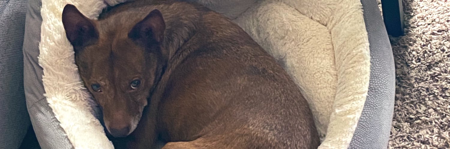 Trini 🇹🇹 banner