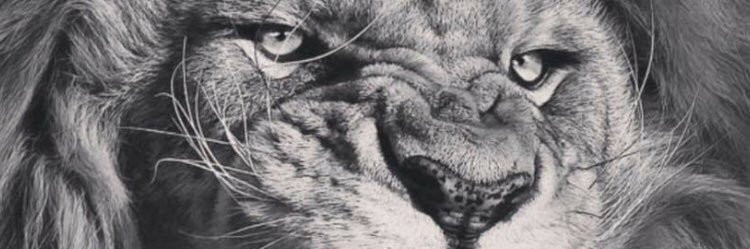 MaccleanK's profile banner image