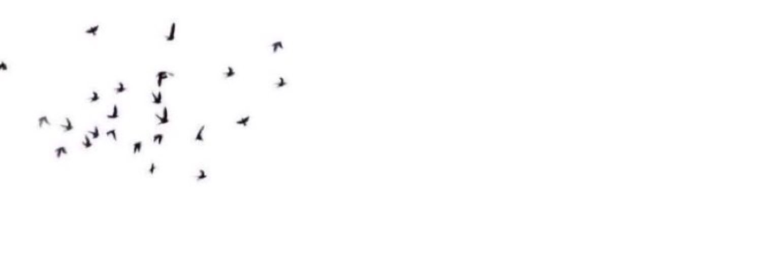 MviiU_'s profile banner image