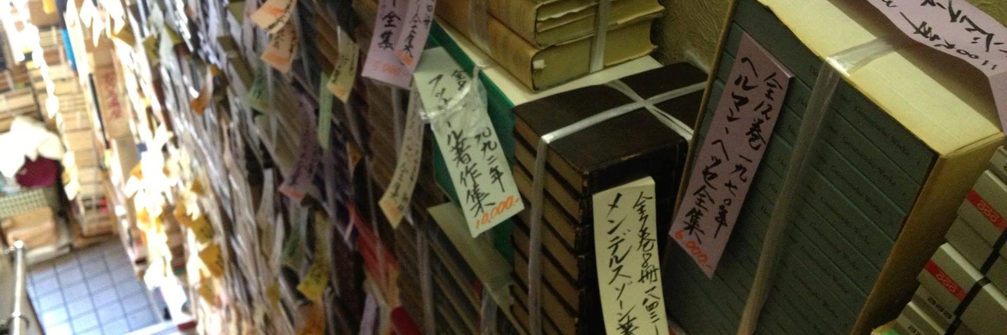 Eluned Gramich banner