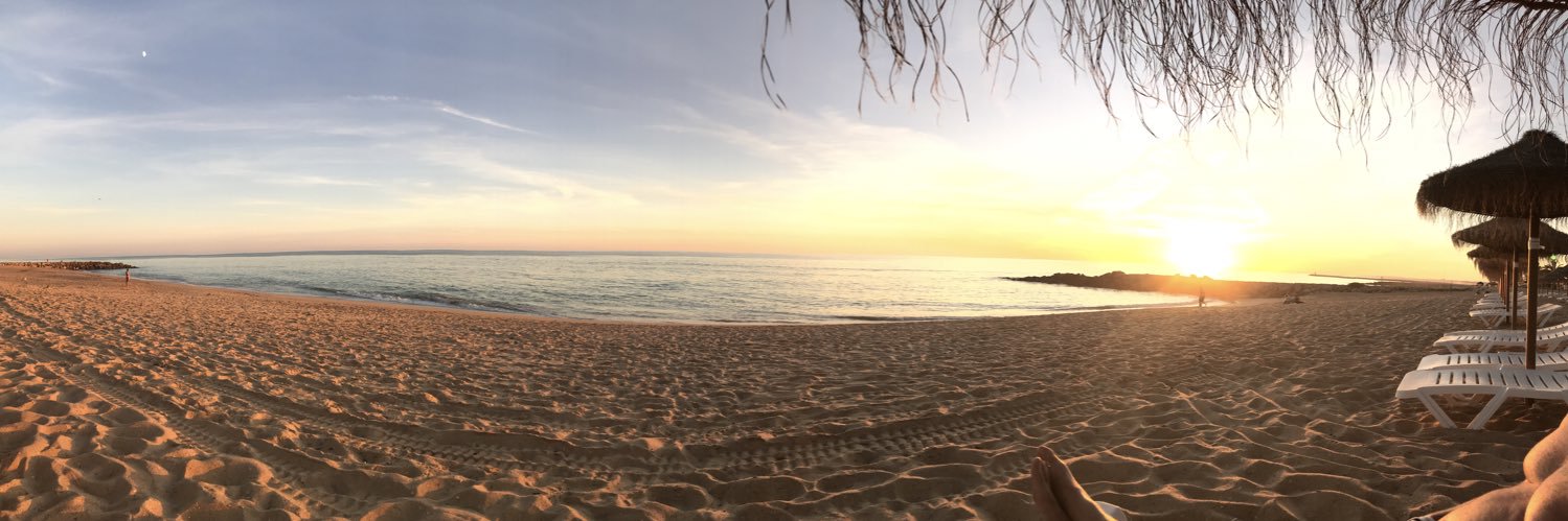 _jadepringX's profile banner image
