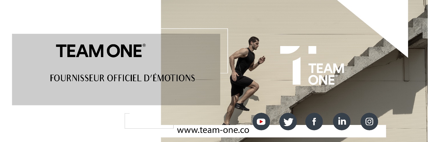 Team One Groupe banner