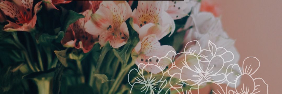 esh_lynn's profile banner image