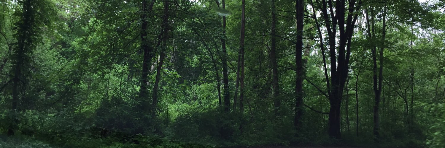 margaretcrow's profile banner image