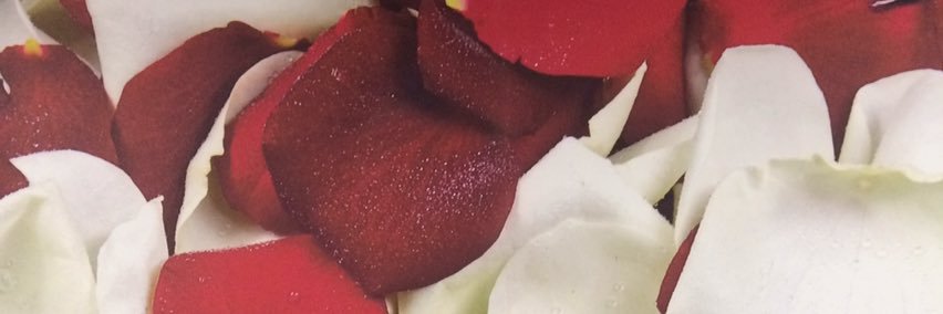 ❣Aleksa❣ banner