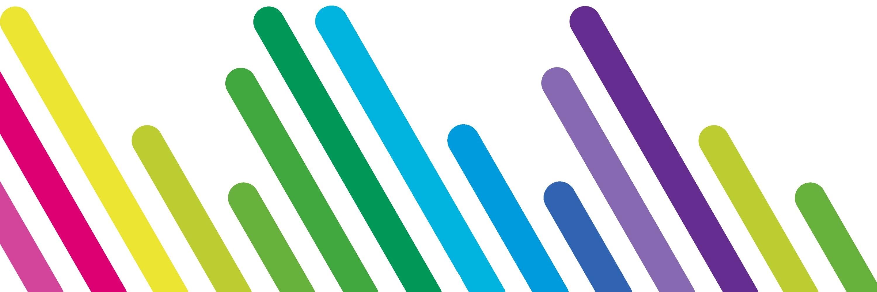 ukdscensus banner