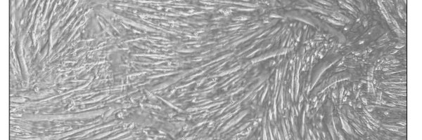 MuscleScience Profile Banner