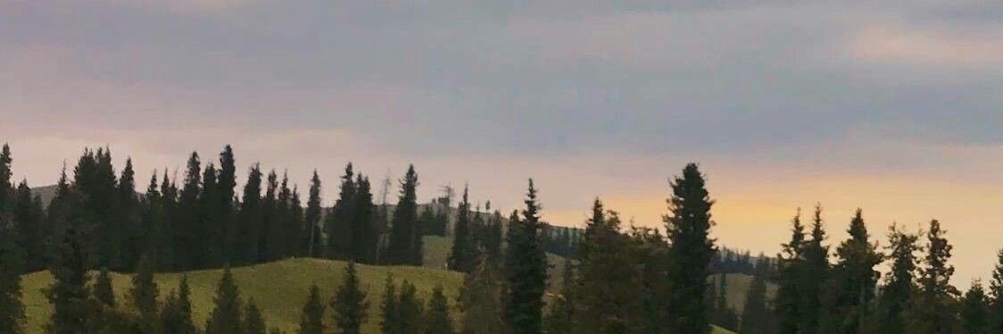 sommpotter's profile banner image