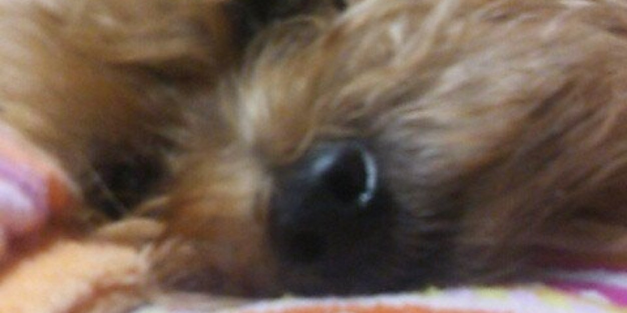 kokochen20's profile banner image