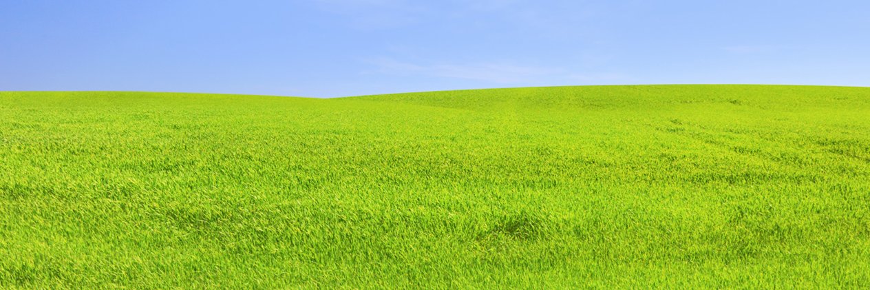 Warmtenet's profile banner image