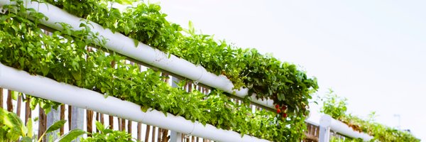 Sam_Annandale Profile Banner