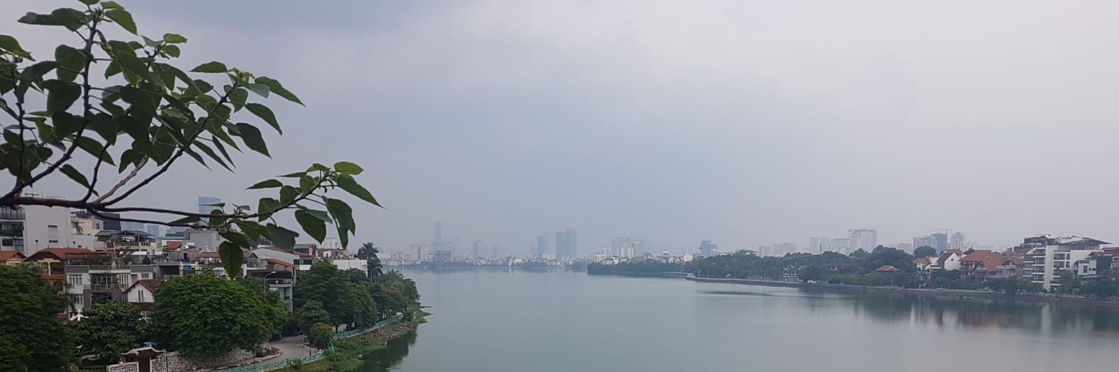 Mathias Arlaud banner