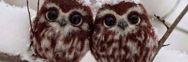 lmaoshorty's profile banner image