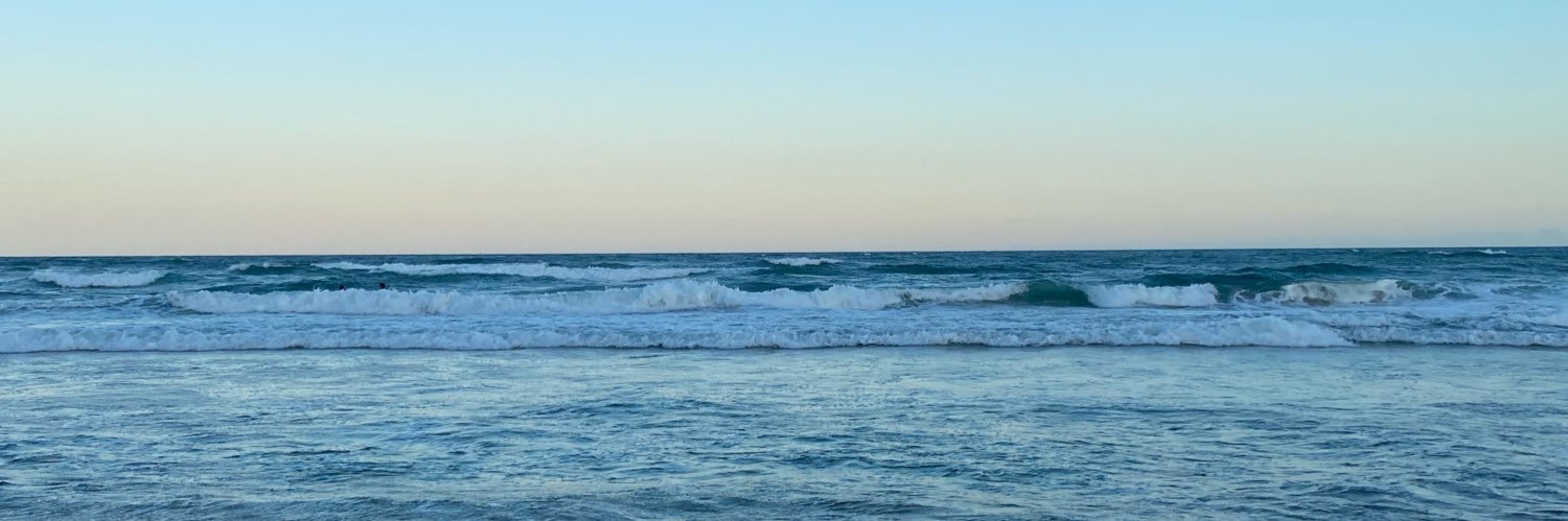milenevlacerda's profile banner image