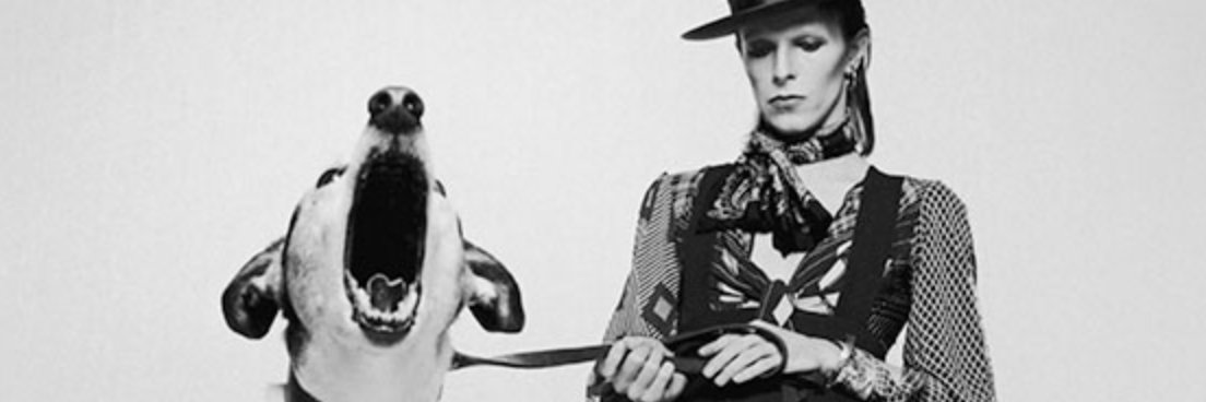 paudachs's profile banner image