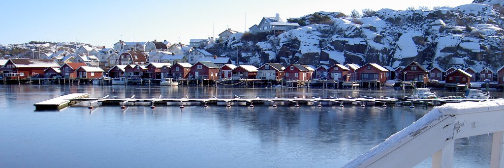 Peter Zellén banner