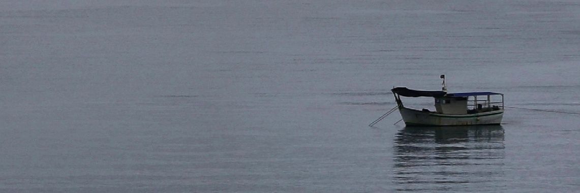 Rosario Hidalgo 🚣🏿‍♀️🚵‍♀️🎹🎼📚🛴🏍📸🎭🇪🇸🇳🇴 banner
