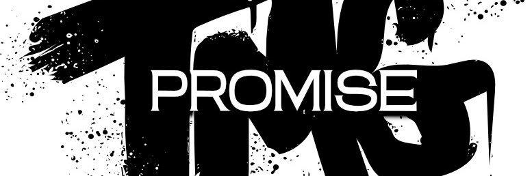 PromiseTMG's profile banner image
