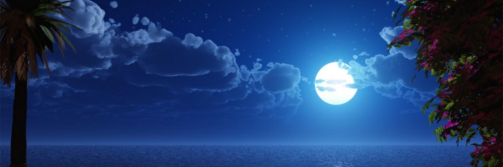 pethu12's profile banner image