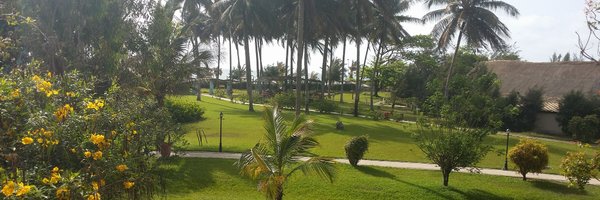 memsachi Profile Banner