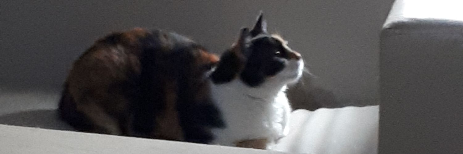 flavialorena40's profile banner image
