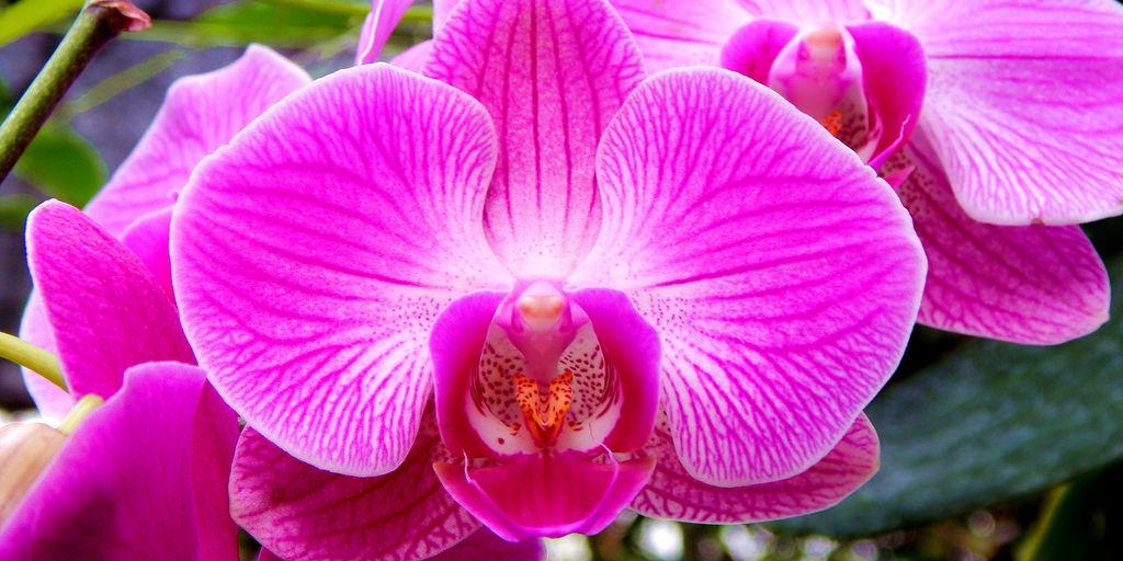 Sinta_Sandra's profile banner image