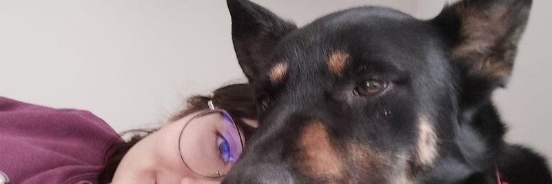 clarasalaa's profile banner image