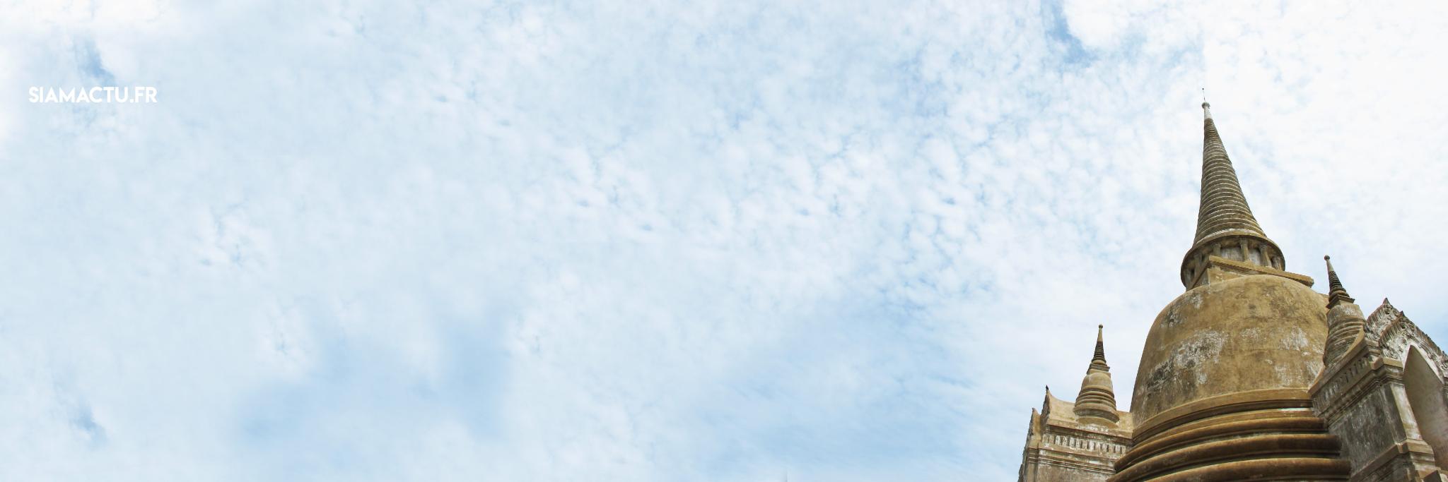 siamactu's profile banner image