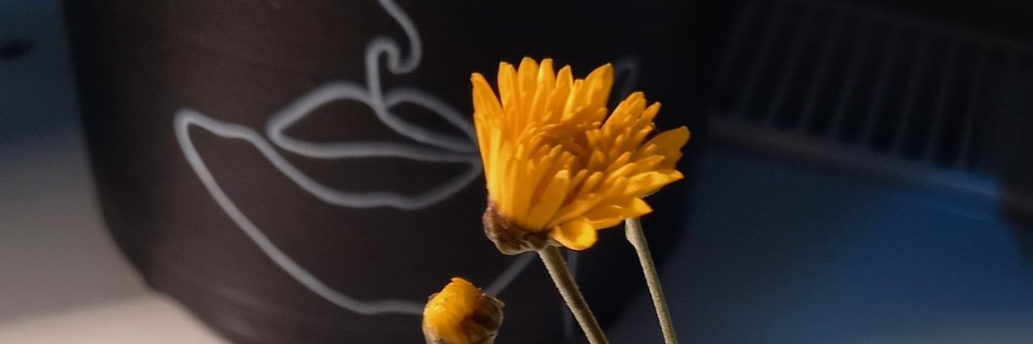 sevgichapraz's profile banner image