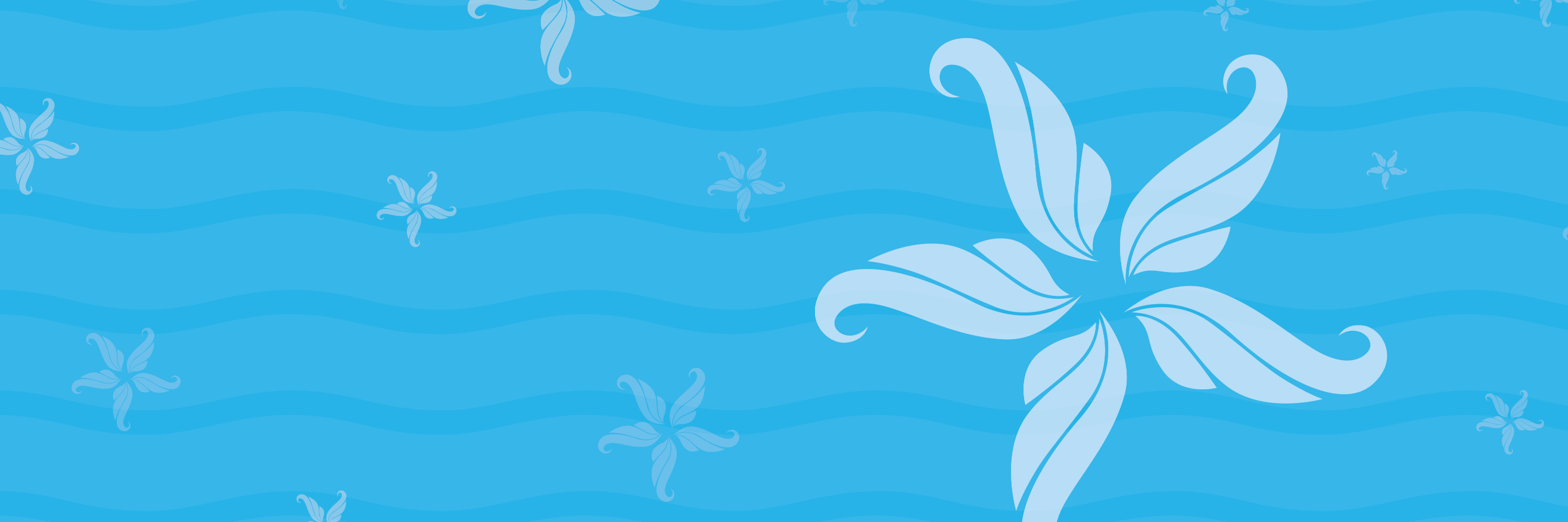 SeaStarCYAC's profile banner image