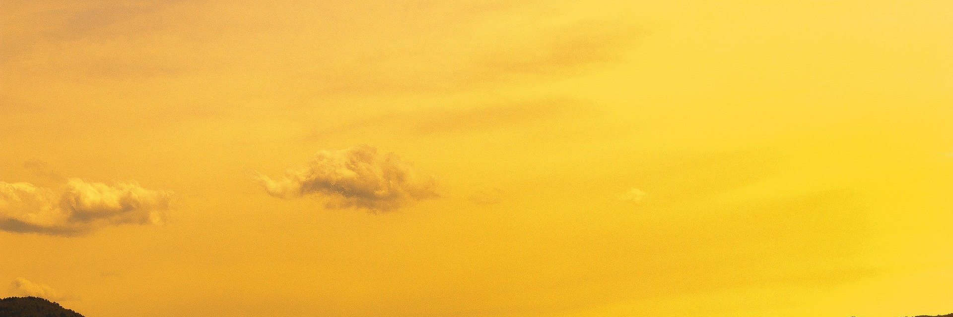 mrtlamotte's profile banner image