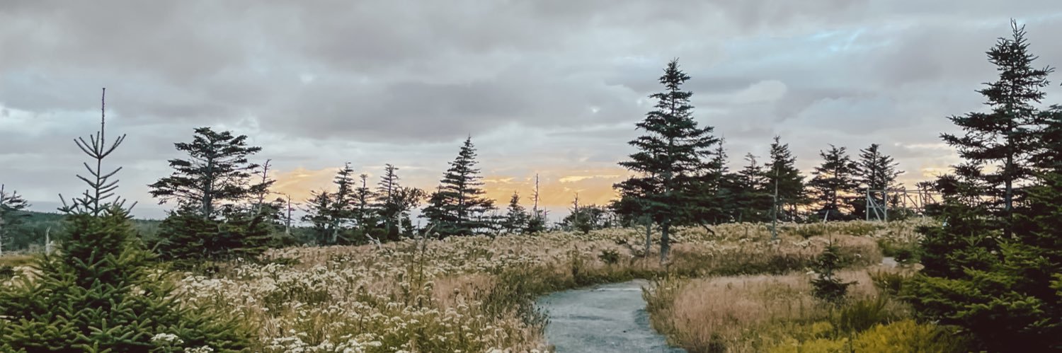 MadisonOwens_'s profile banner image
