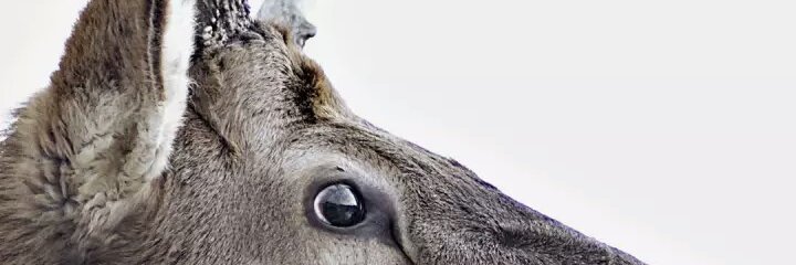 amalulfadhlan's profile banner image