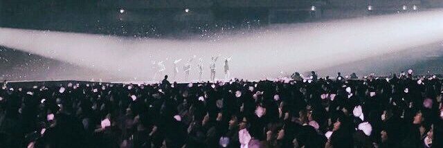 보라하는bts banner