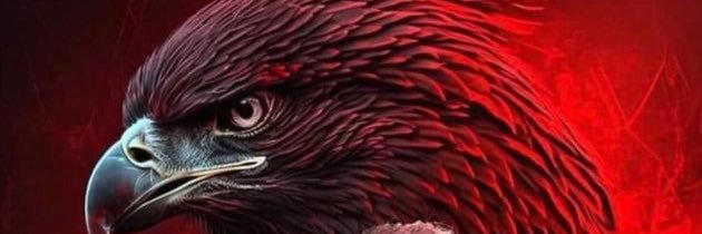 Daido1S's profile banner image