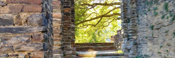 LaiaLlobera Profile Banner