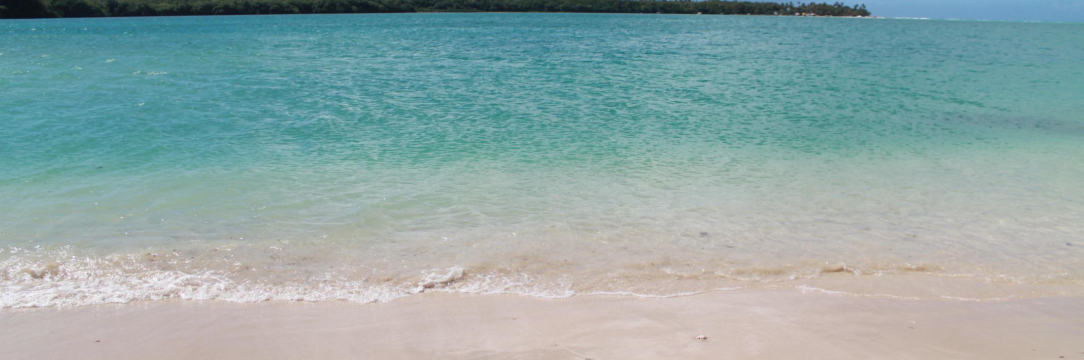 melmcbride's profile banner image