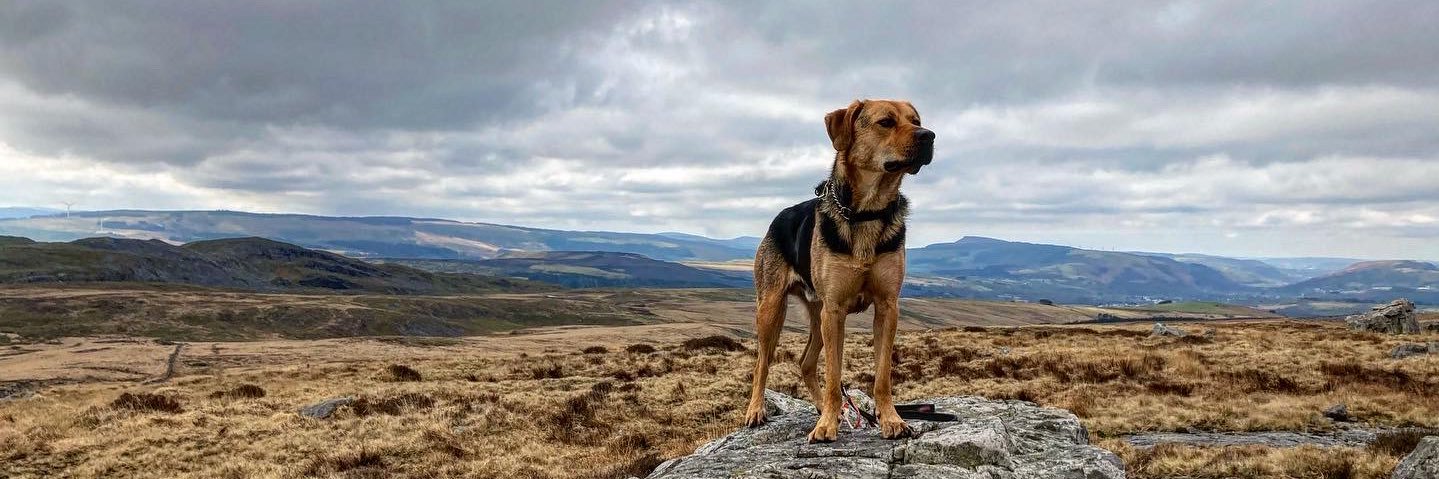 Gareth Enticott 🏴󠁧󠁢󠁷󠁬󠁳󠁿 banner