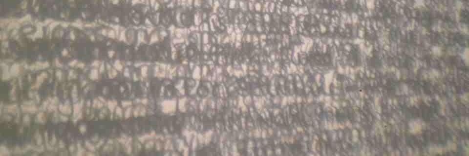Alisha John banner