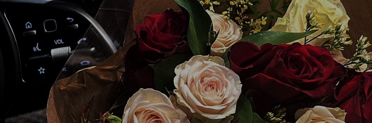 paulineselects's profile banner image