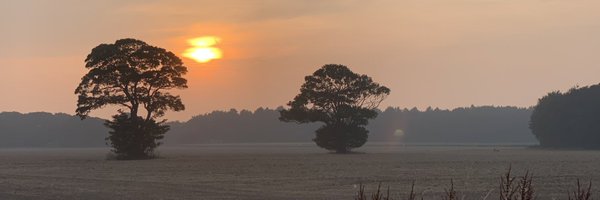 aicooper Profile Banner