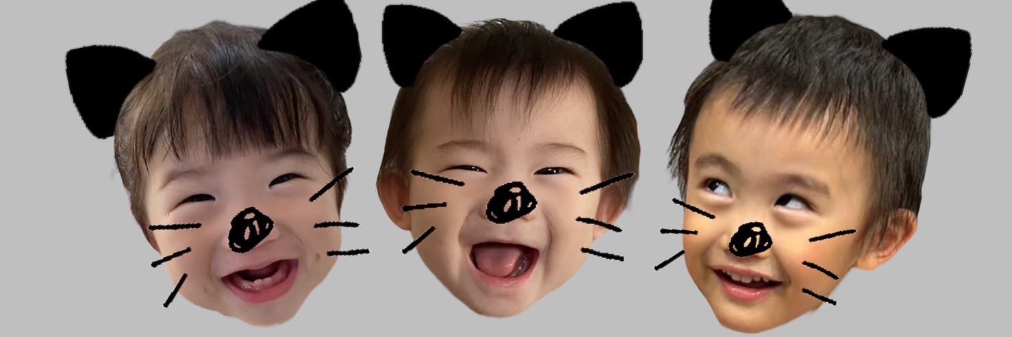 shionpuo's profile banner image