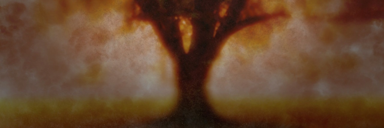 CicioButterfly's profile banner image