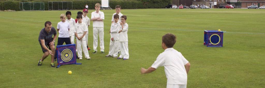 Cricket Factory banner