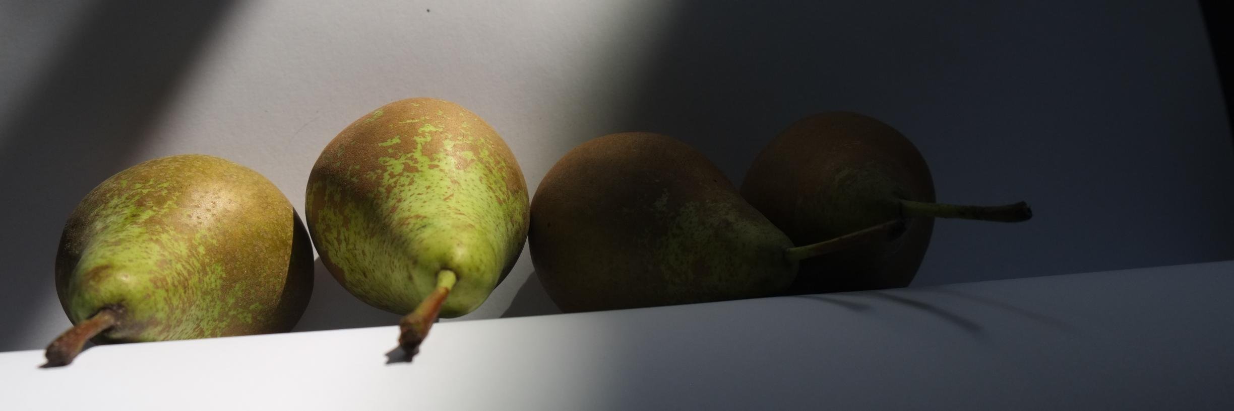 PeerAdm's profile banner image